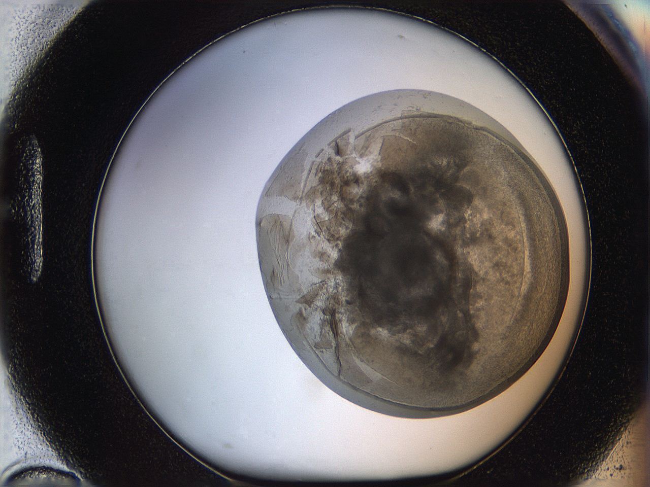 068t_H10_ImagerDefaults_3.jpg