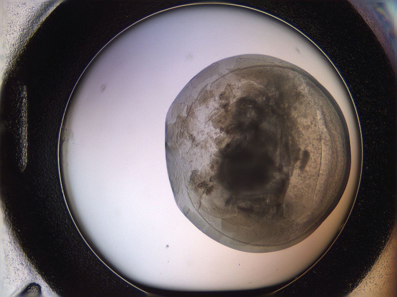 068t_H11_ImagerDefaults_3.jpg