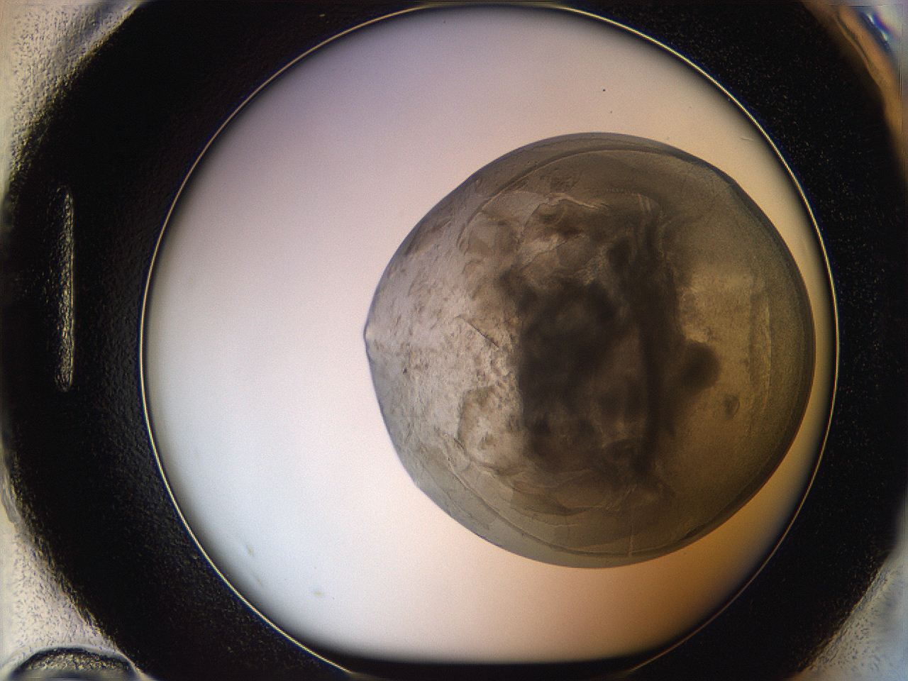 068t_H12_ImagerDefaults_3.jpg