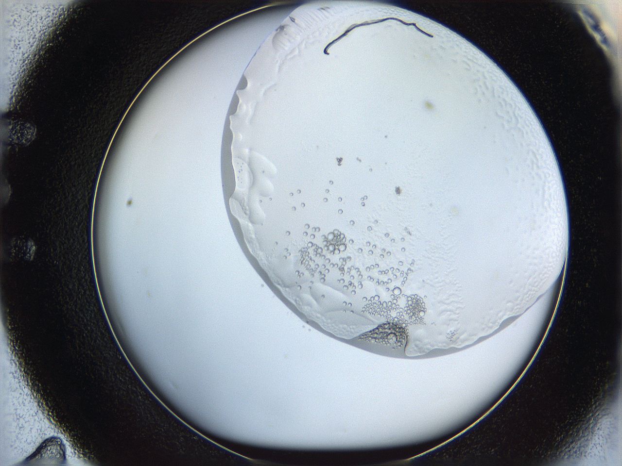 068t_E11_ImagerDefaults_5.jpg