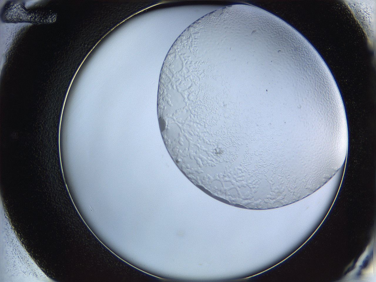 068t_E12_ImagerDefaults_5.jpg