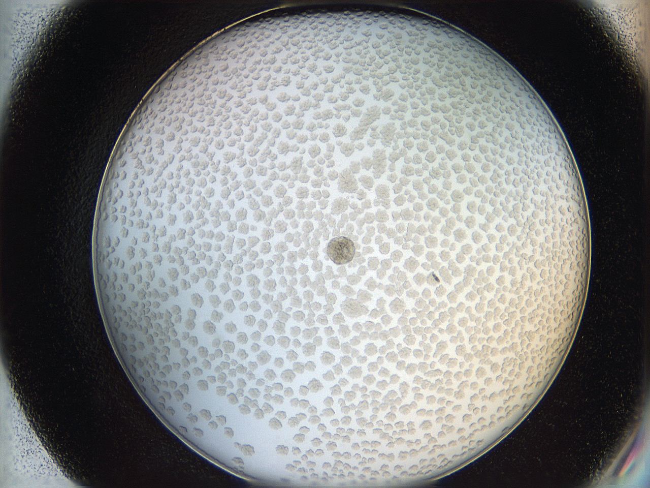 068t_F7_ImagerDefaults_6.jpg