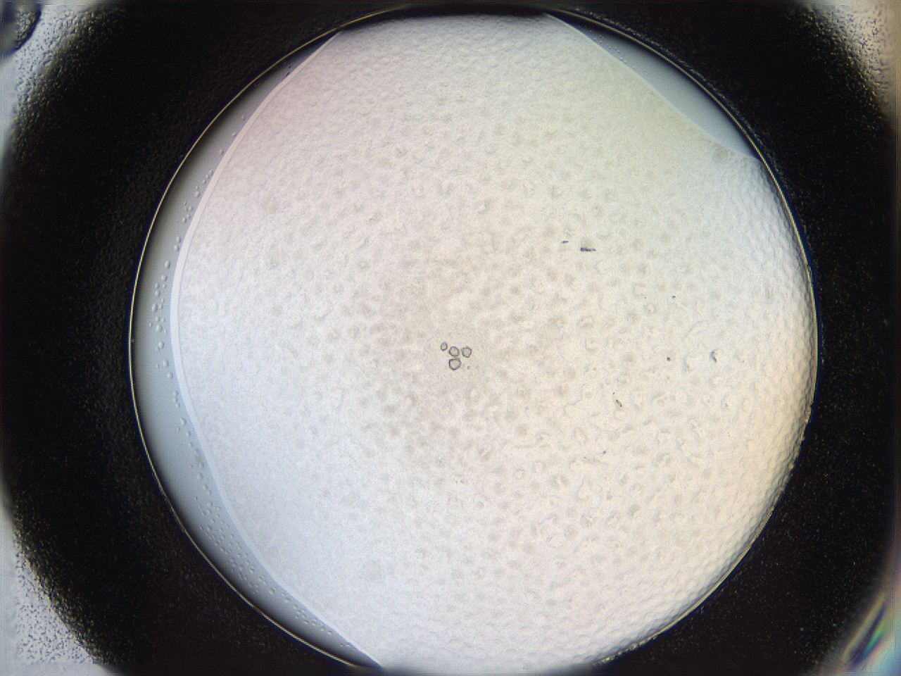068t_F8_ImagerDefaults_5.jpg