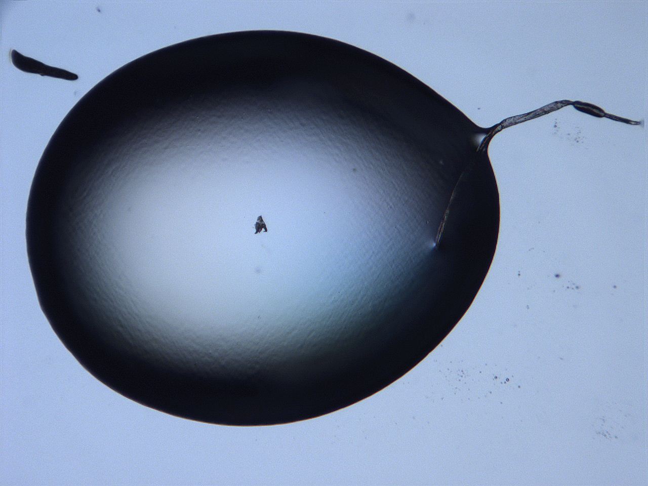 068v_E6_ImagerDefaults_0.jpg