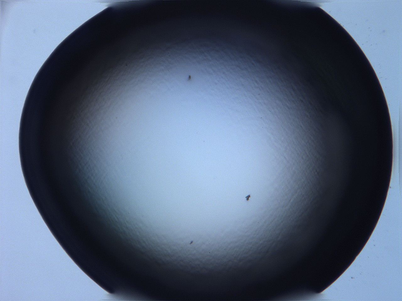 068v_E7_ImagerDefaults_0.jpg