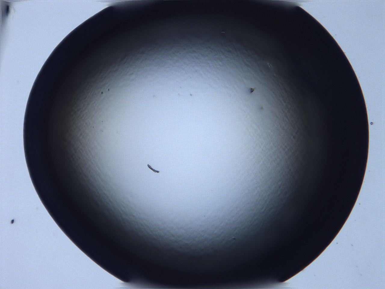 068v_E8_ImagerDefaults_0.jpg