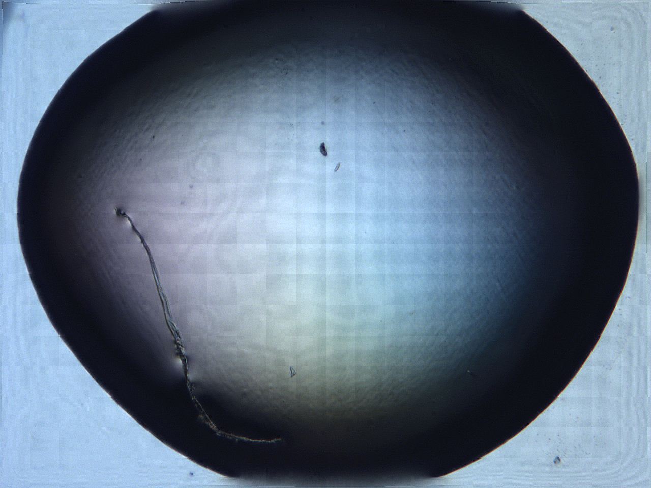 068v_E9_ImagerDefaults_0.jpg