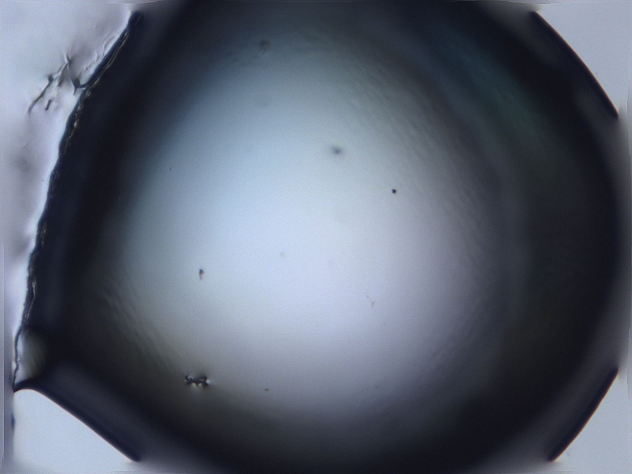 068v_F1_ImagerDefaults_0.jpg