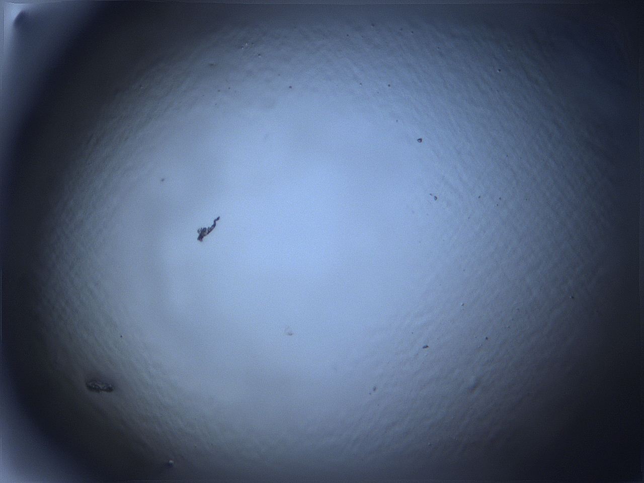 068v_F3_ImagerDefaults_0.jpg