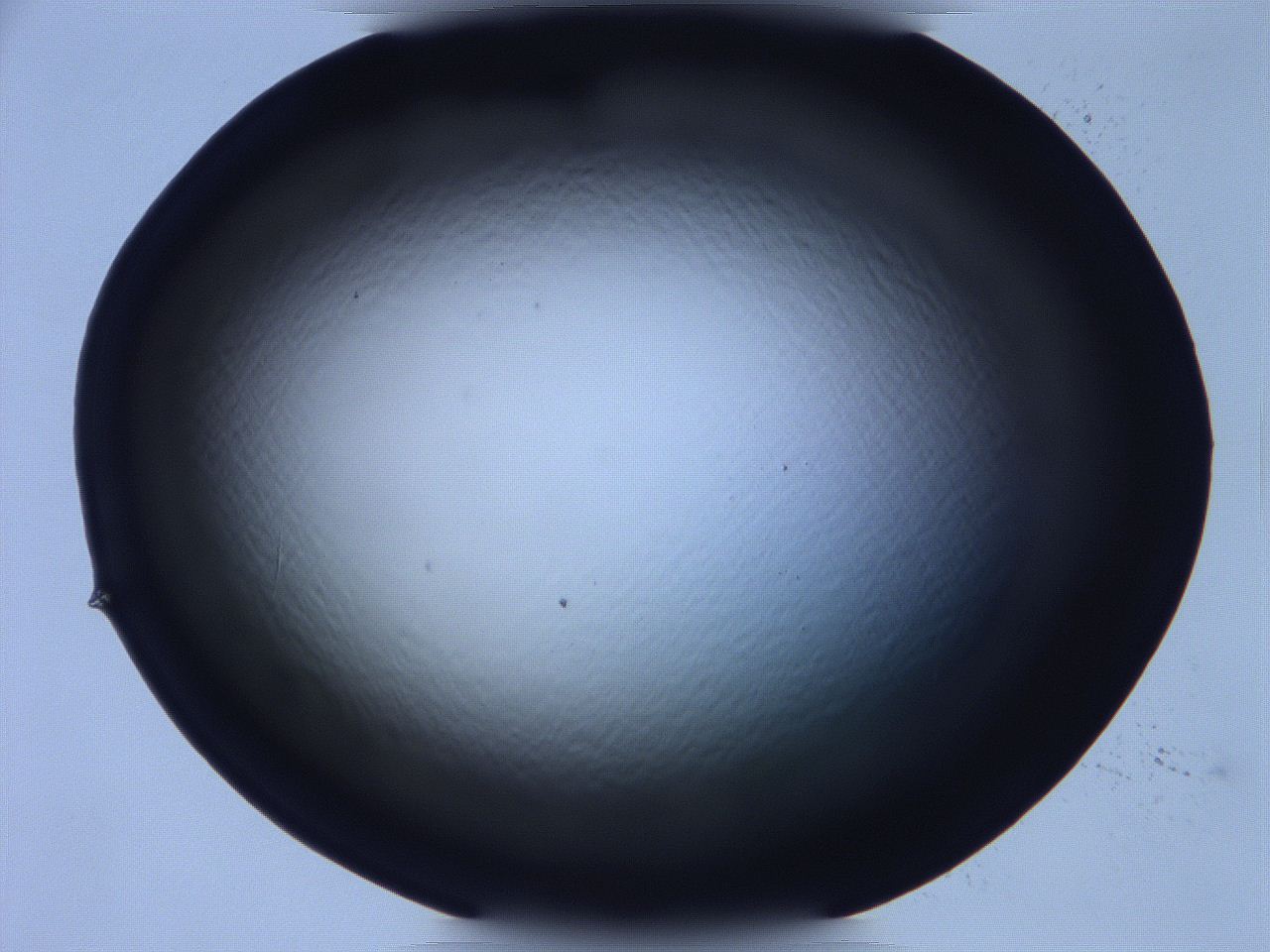 068v_C6_ImagerDefaults_0.jpg
