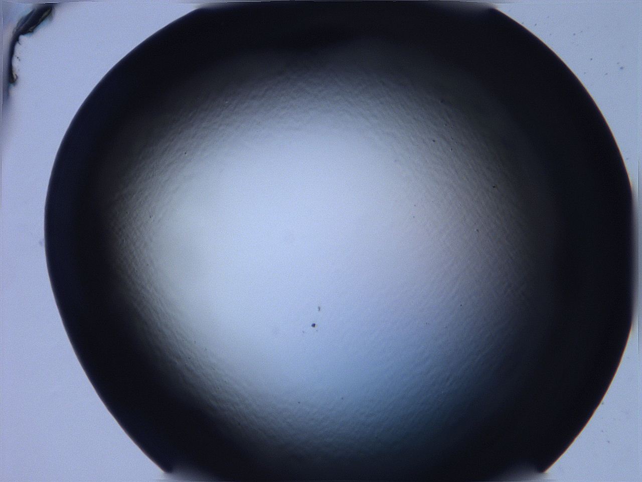 068v_C5_ImagerDefaults_0.jpg