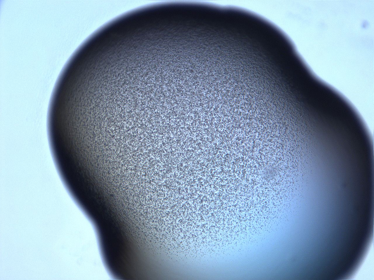 068v_C9_ImagerDefaults_3.jpg