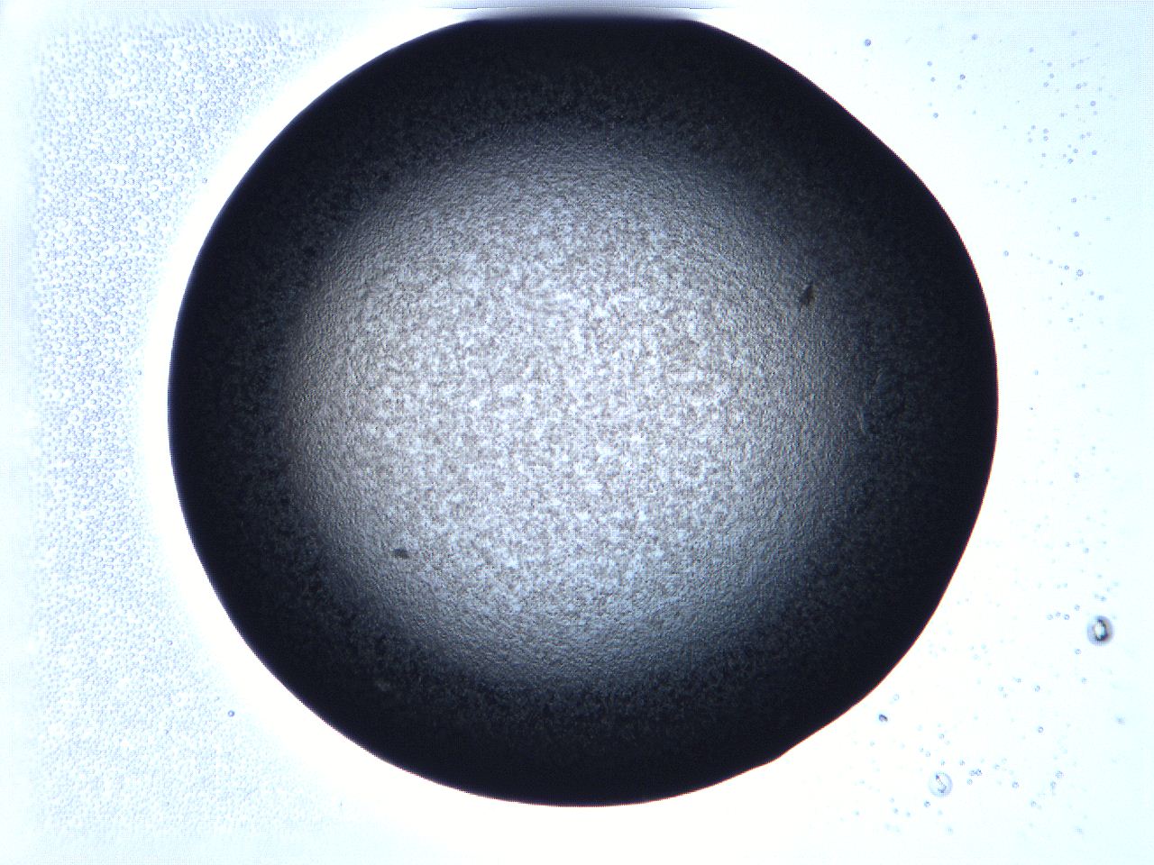 068v_C8_ImagerDefaults_3.jpg