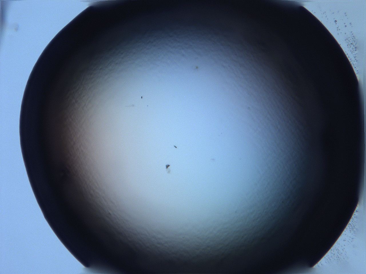 068v_D9_ImagerDefaults_0.jpg