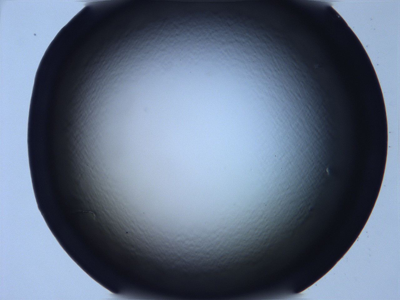068v_D11_ImagerDefaults_0.jpg