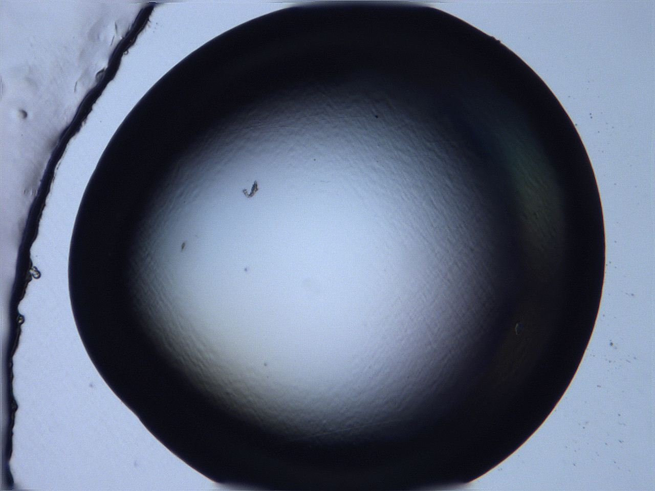 068v_E1_ImagerDefaults_0.jpg