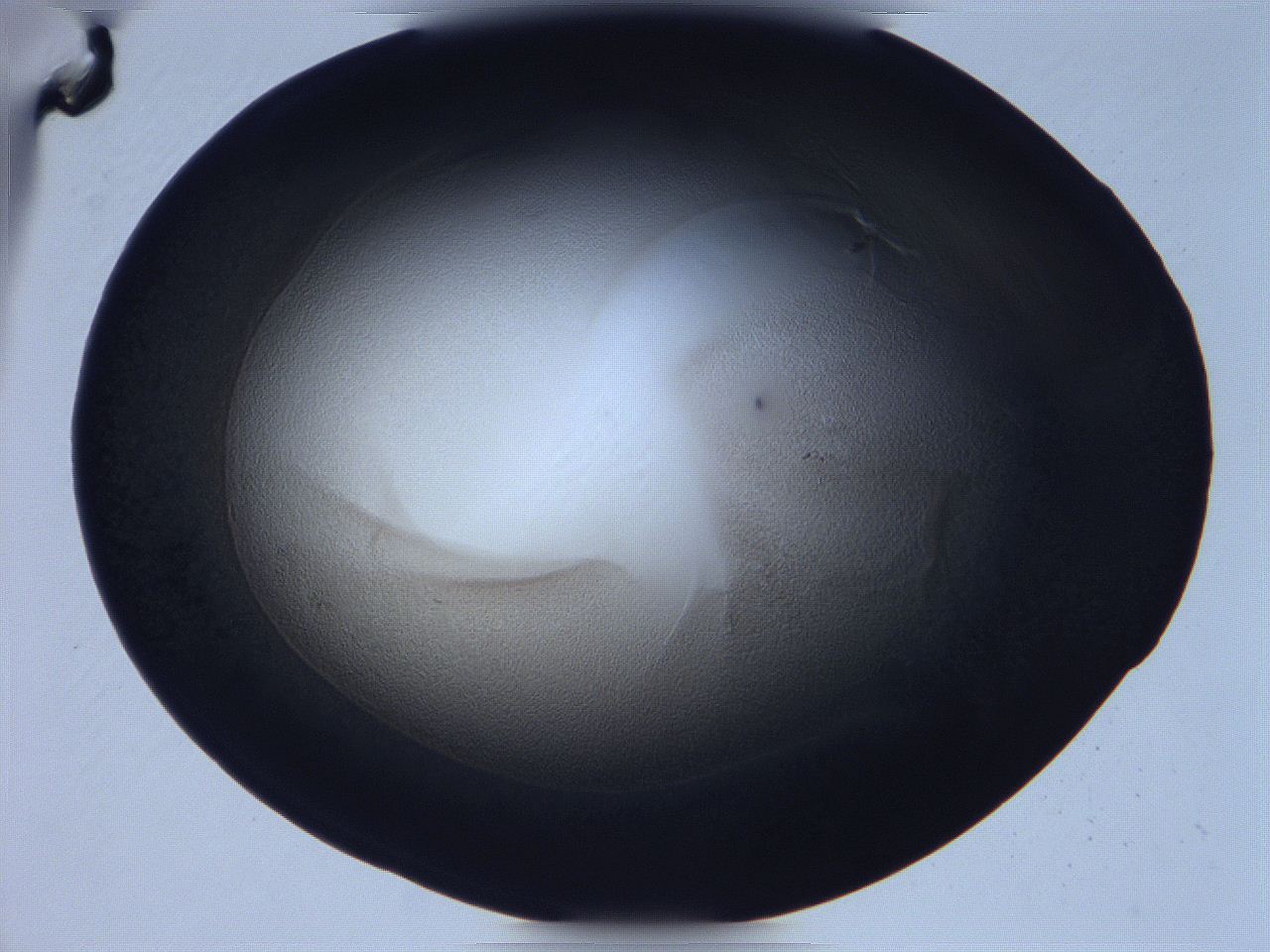 068v_E3_ImagerDefaults_3.jpg