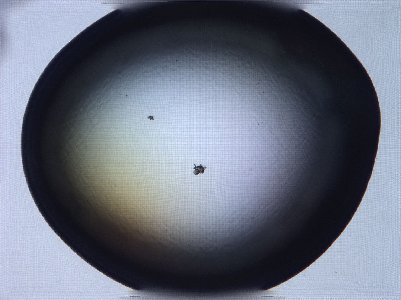 068v_E4_ImagerDefaults_0.jpg