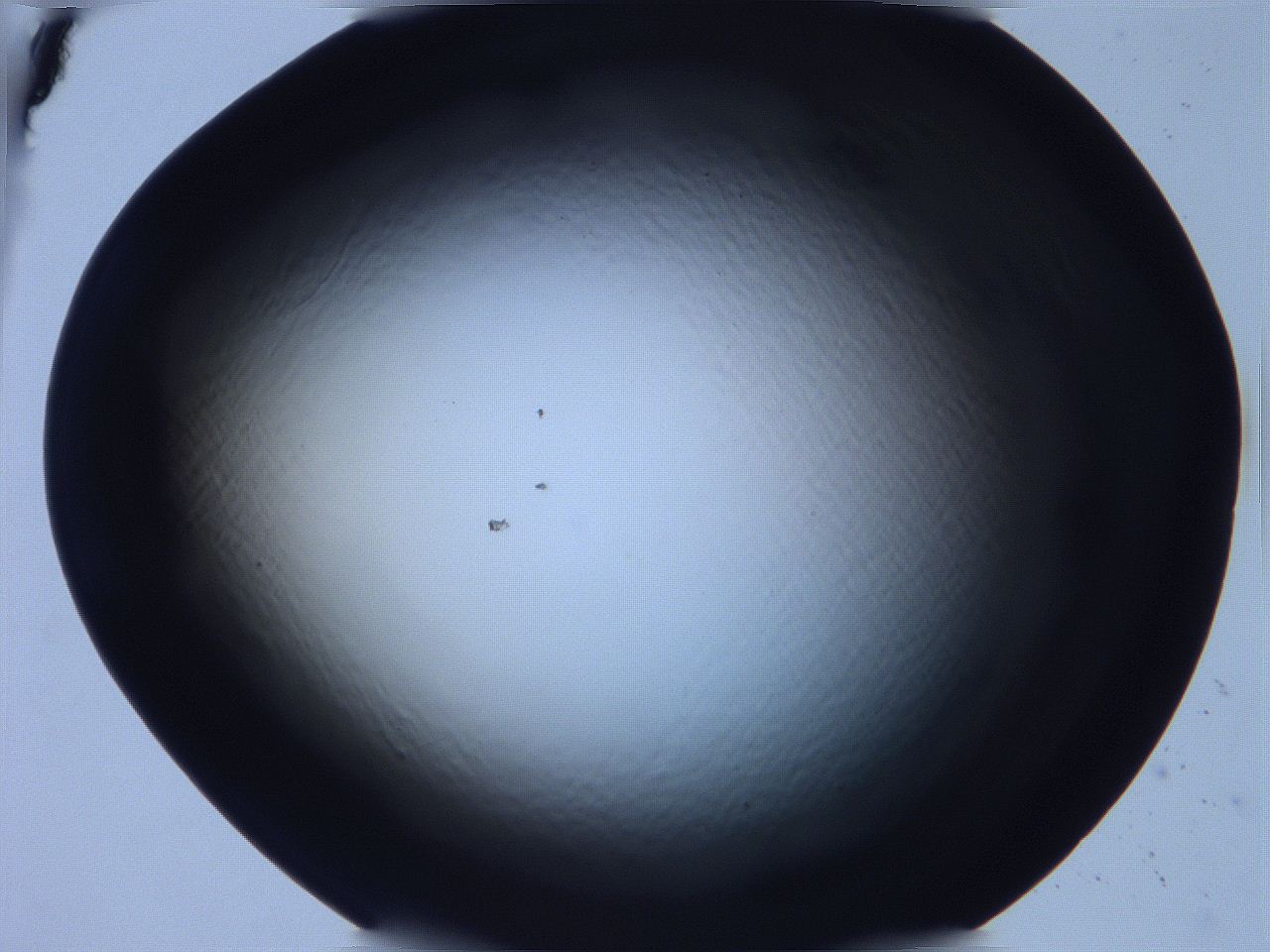 068v_E5_ImagerDefaults_0.jpg
