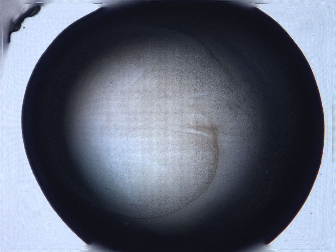 068v_B2_ImagerDefaults_3.jpg
