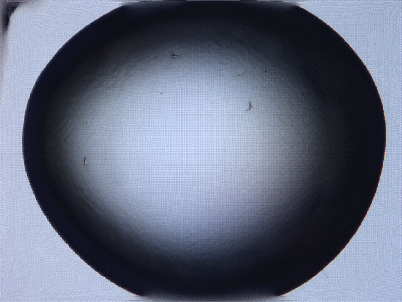 068v_B5_ImagerDefaults_0.jpg