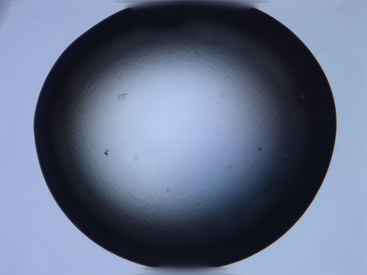 068v_B6_ImagerDefaults_0.jpg