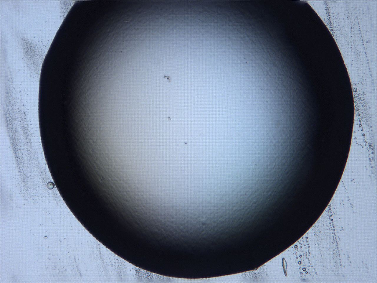 068v_C11_ImagerDefaults_0.jpg
