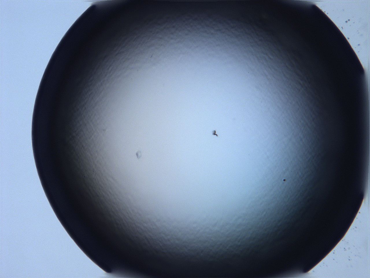068v_C12_ImagerDefaults_0.jpg
