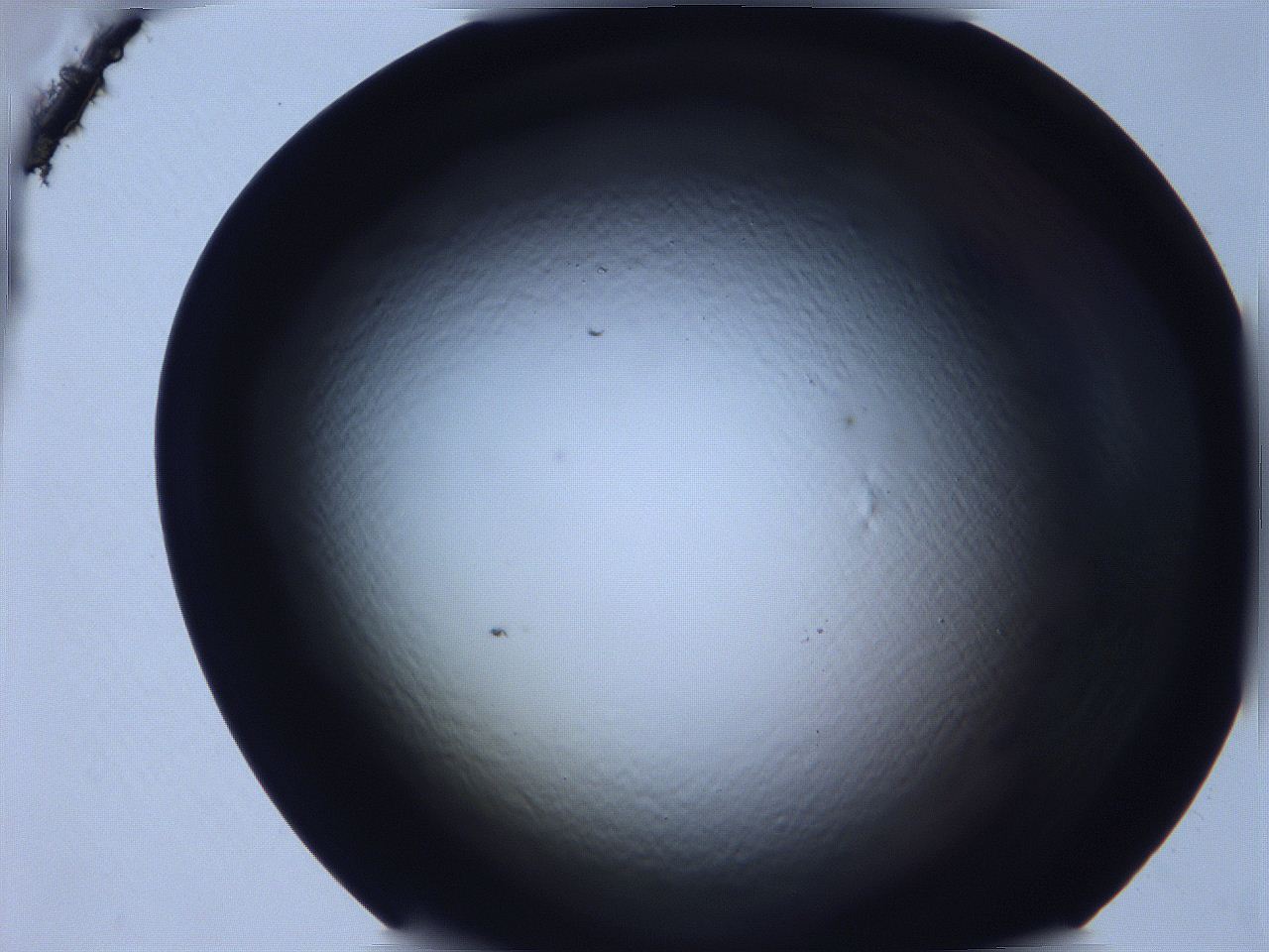 068v_D1_ImagerDefaults_0.jpg