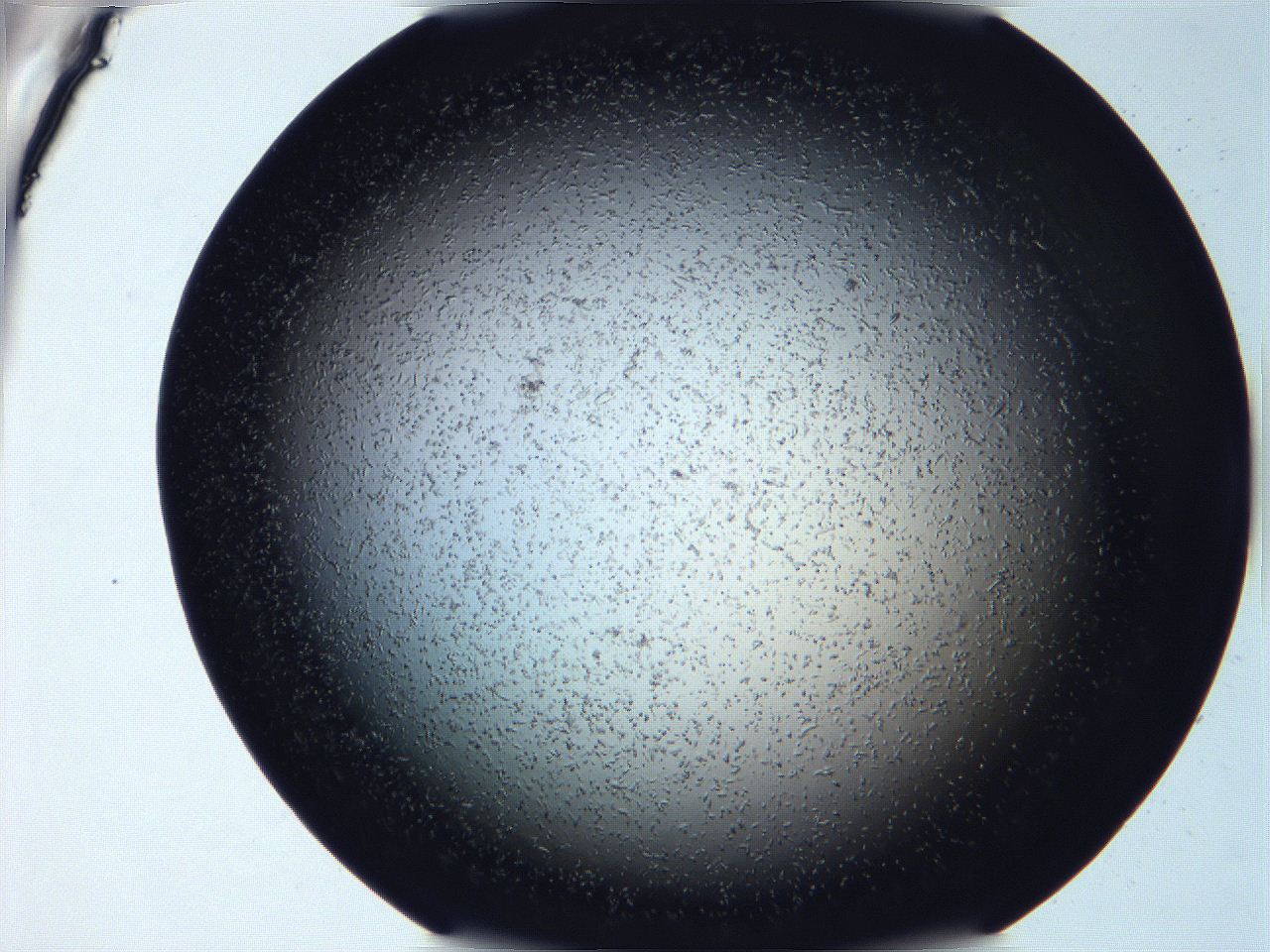 068v_D4_ImagerDefaults_6.jpg