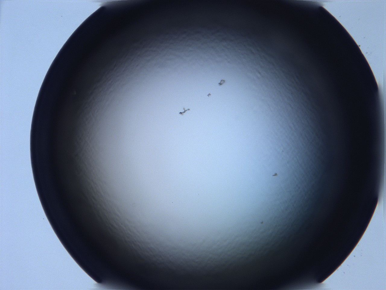 068v_D6_ImagerDefaults_0.jpg