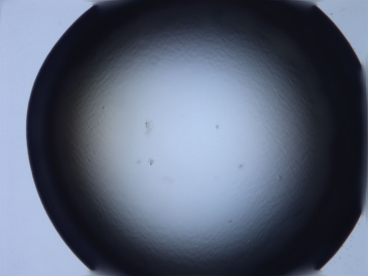068v_D8_ImagerDefaults_0.jpg