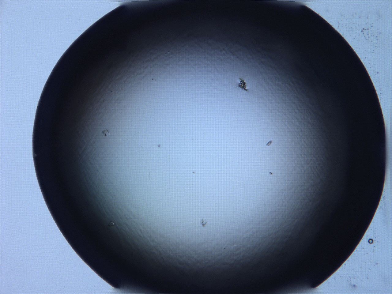 068v_D7_ImagerDefaults_0.jpg
