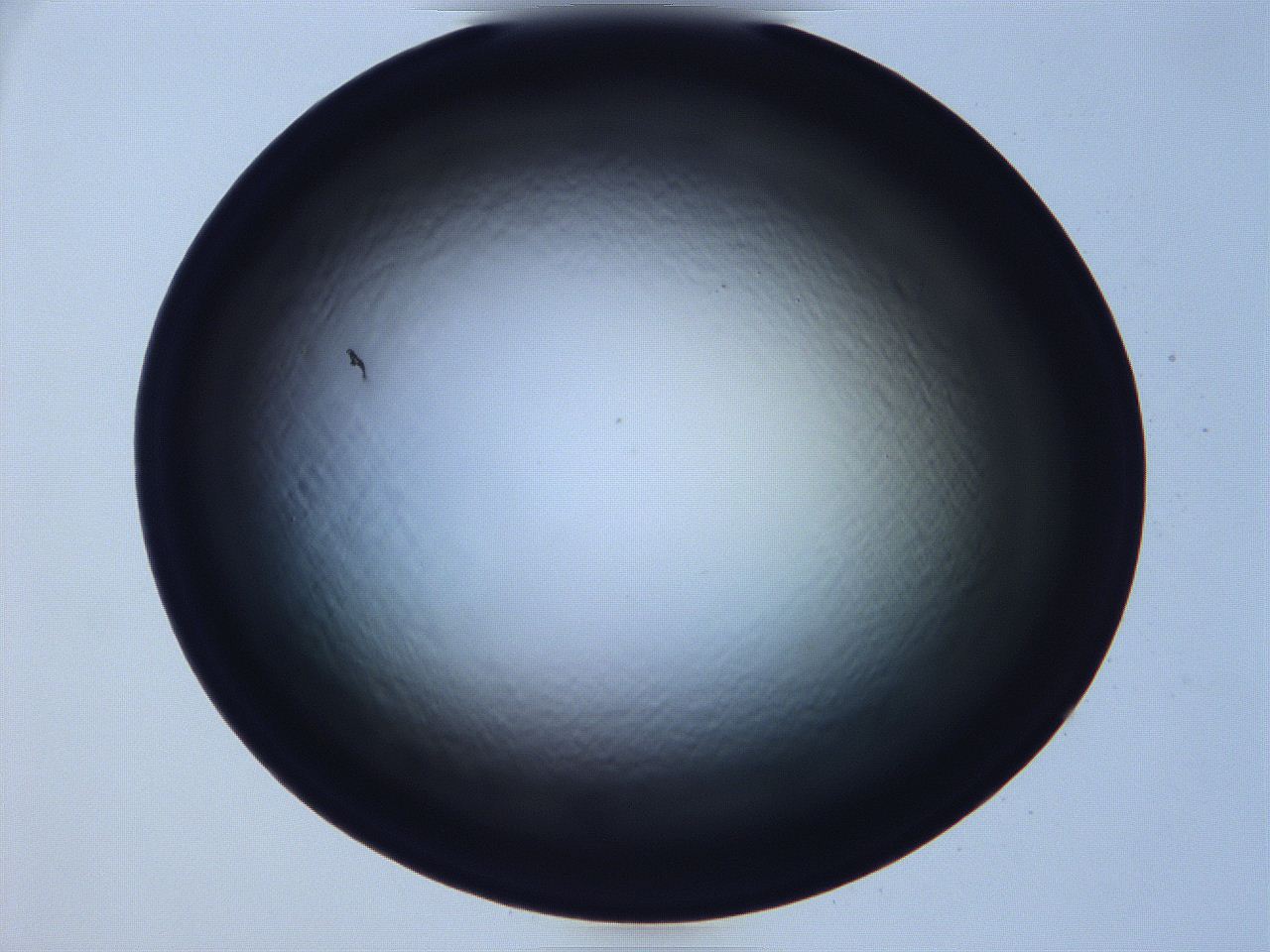 068v_B10_ImagerDefaults_0.jpg