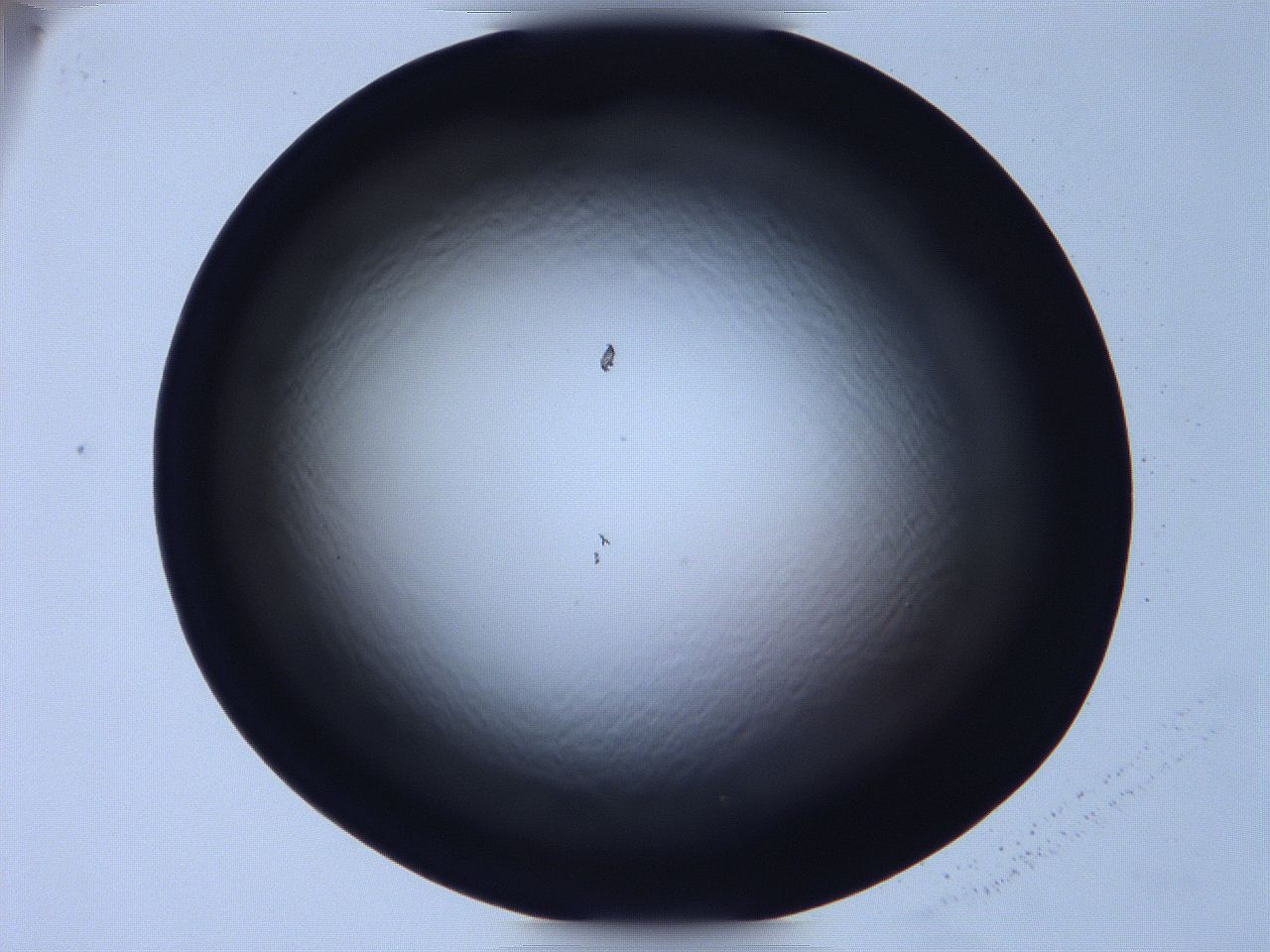 068v_B8_ImagerDefaults_0.jpg
