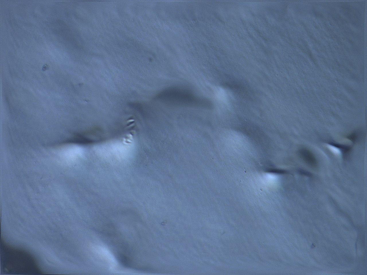 068v_F9_ImagerDefaults_m.jpg