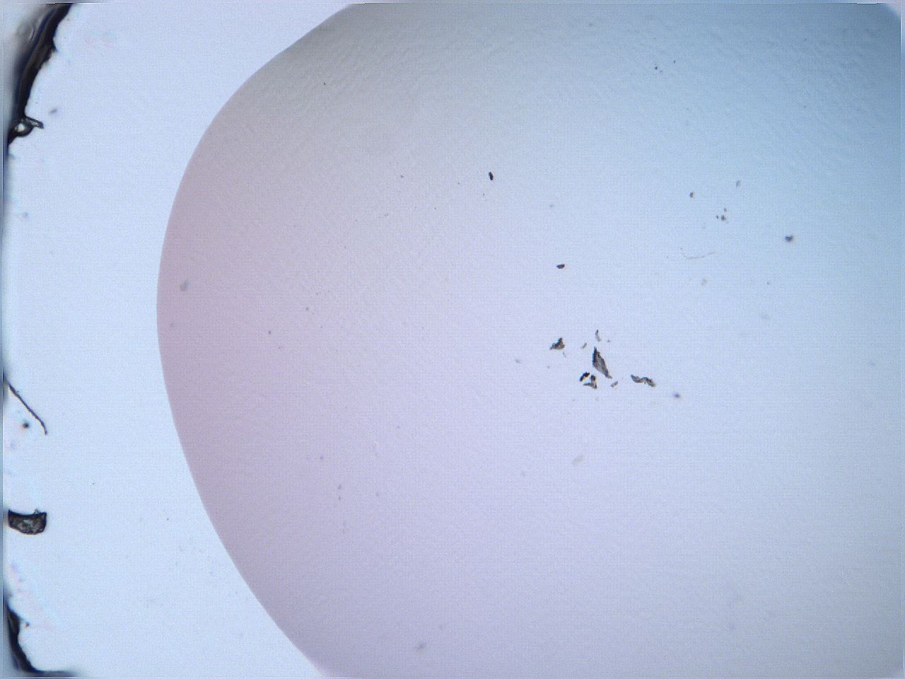 068v_F12_ImagerDefaults_0.jpg