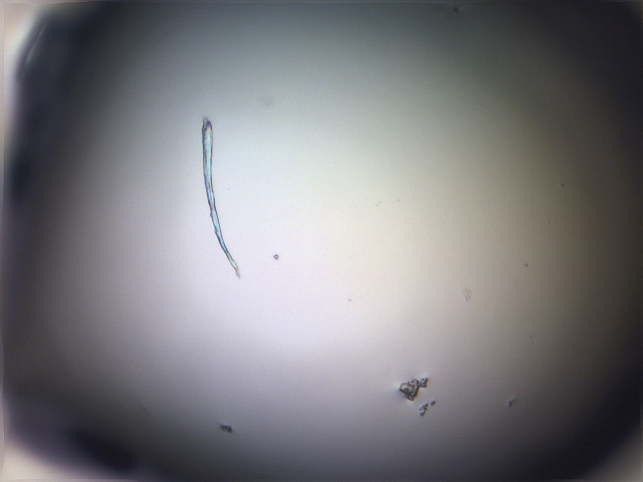 068v_G2_ImagerDefaults_0.jpg