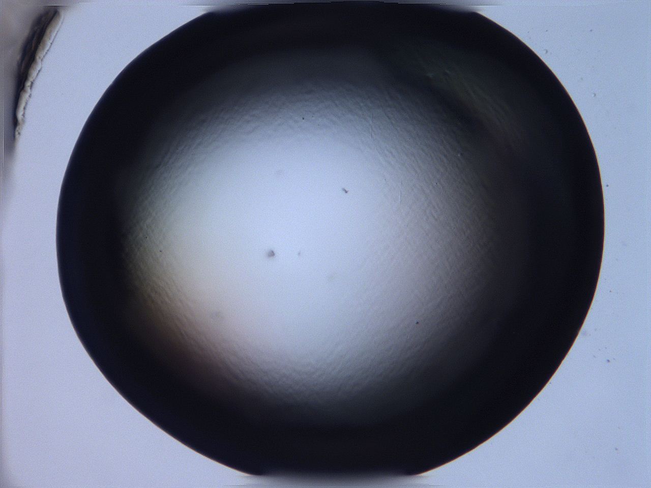 068v_G4_ImagerDefaults_0.jpg