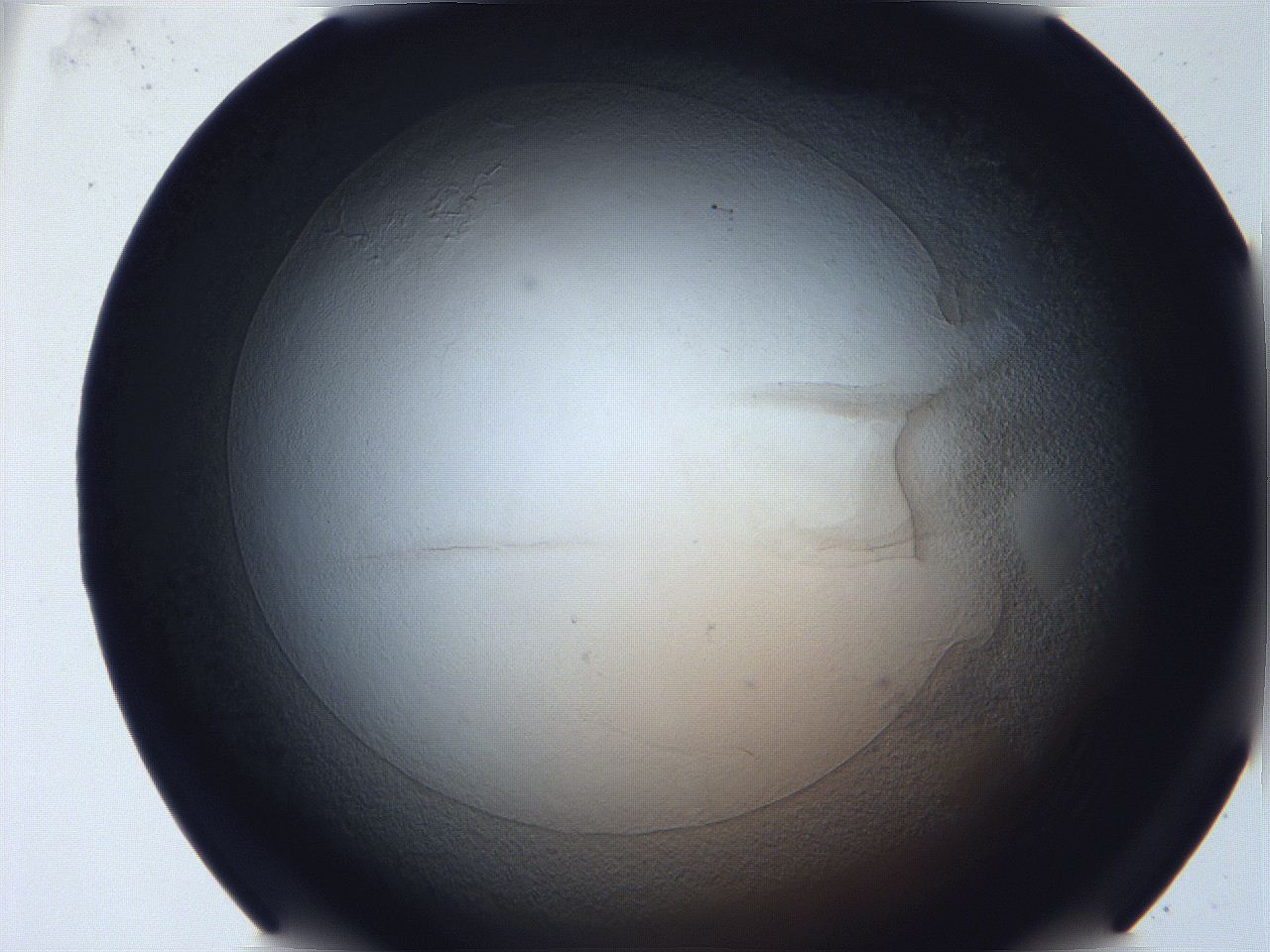 068v_A9_ImagerDefaults_3.jpg