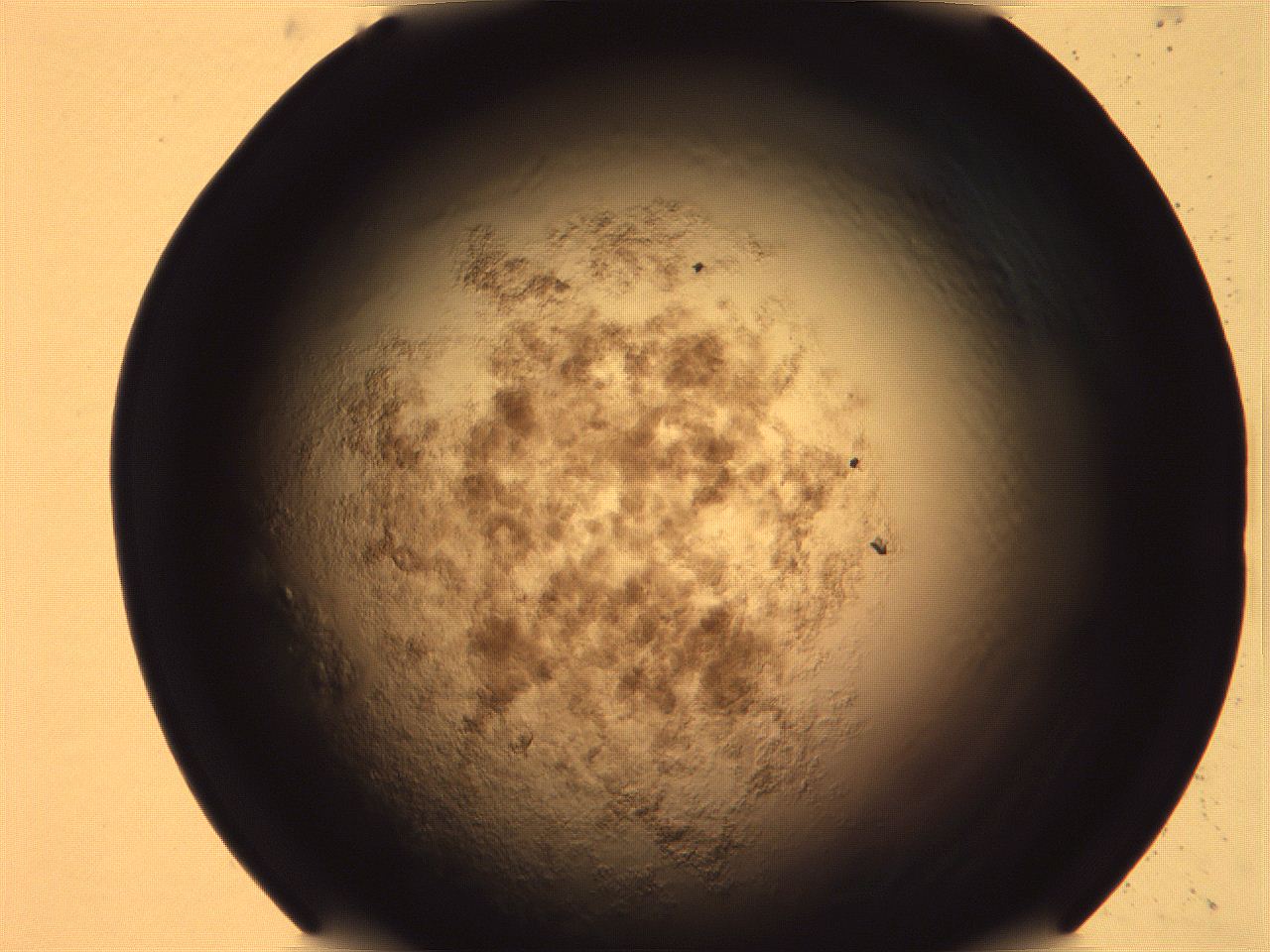 068v_A11_ImagerDefaults_3.jpg