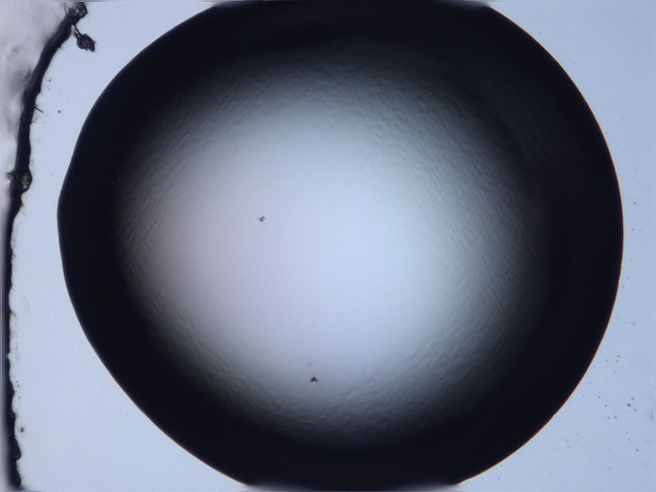 068v_G8_ImagerDefaults_0.jpg