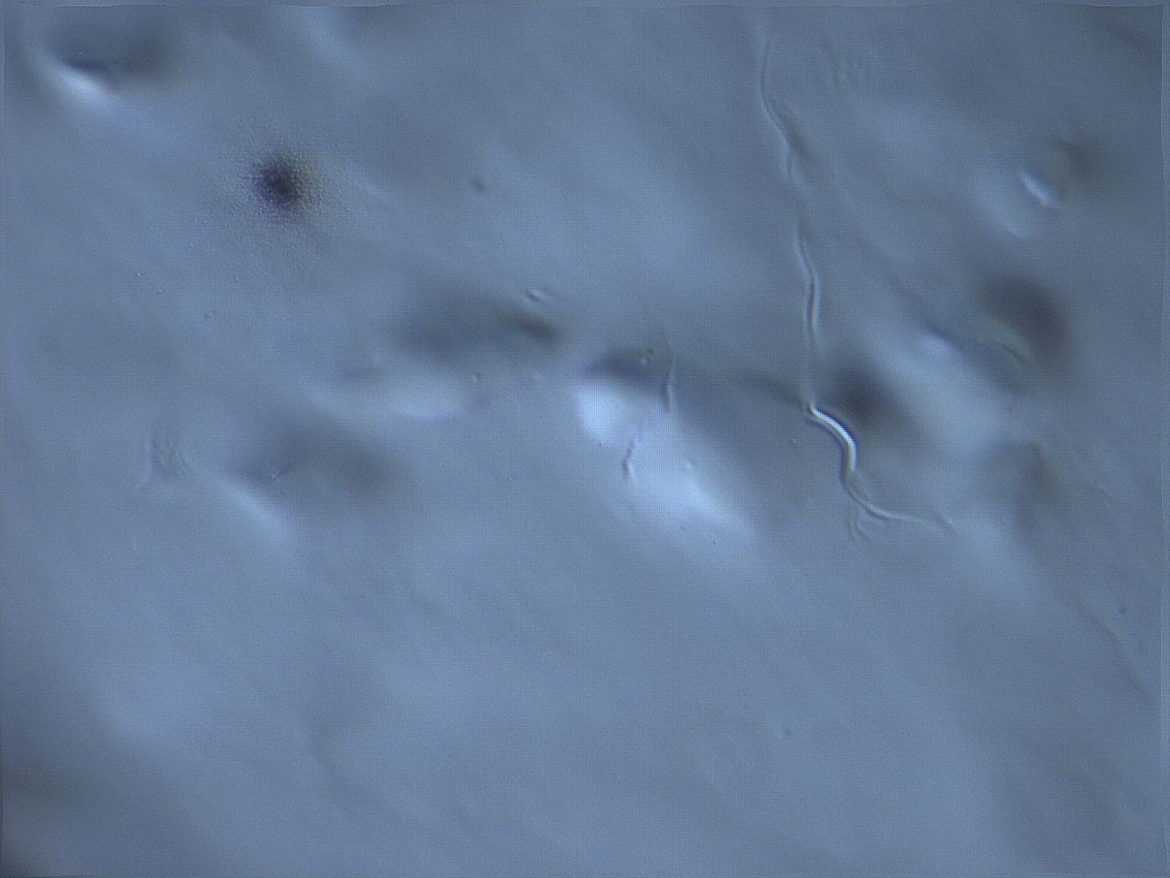 068v_G9_ImagerDefaults_m.jpg