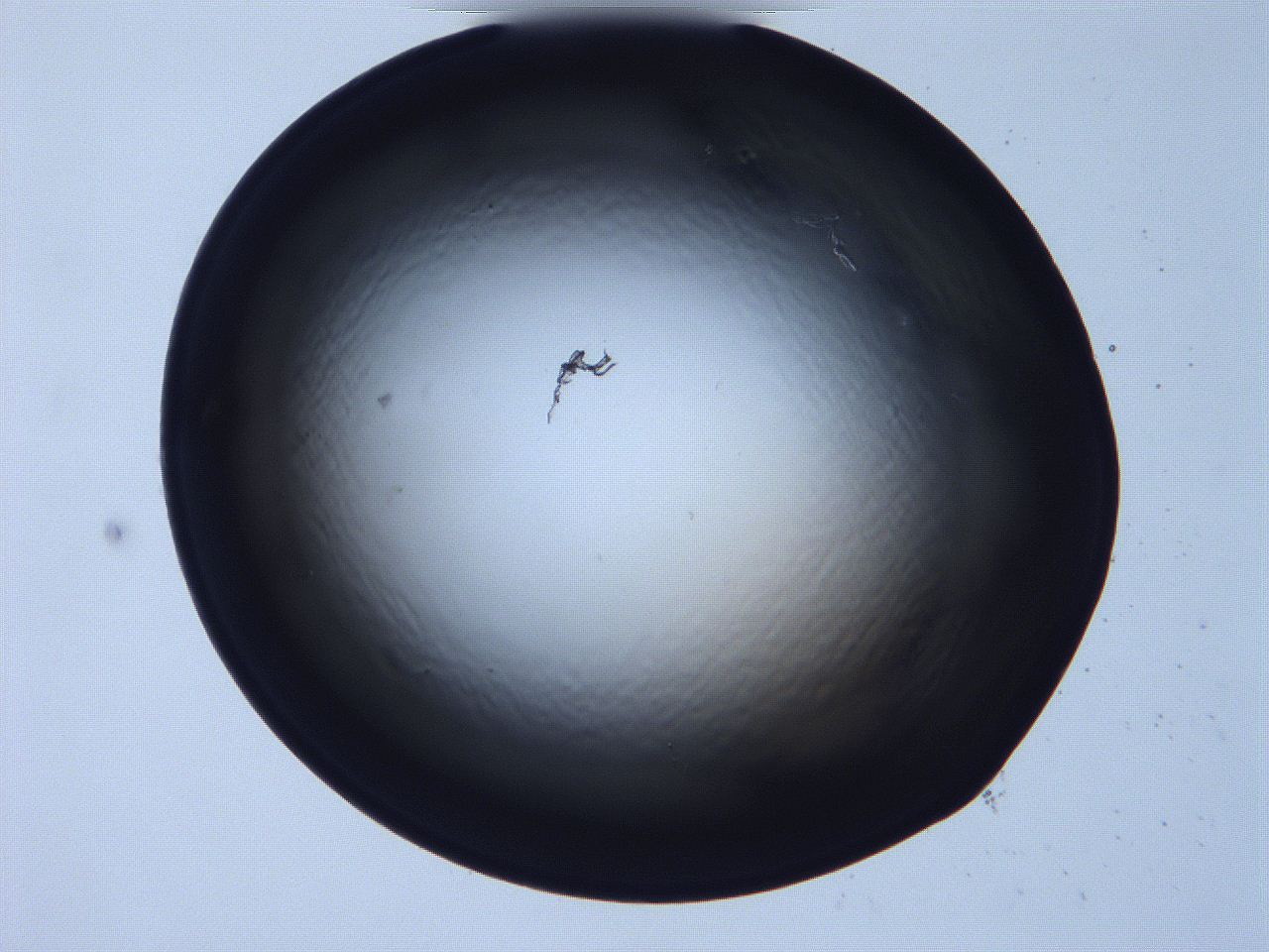 068v_A12_ImagerDefaults_0.jpg