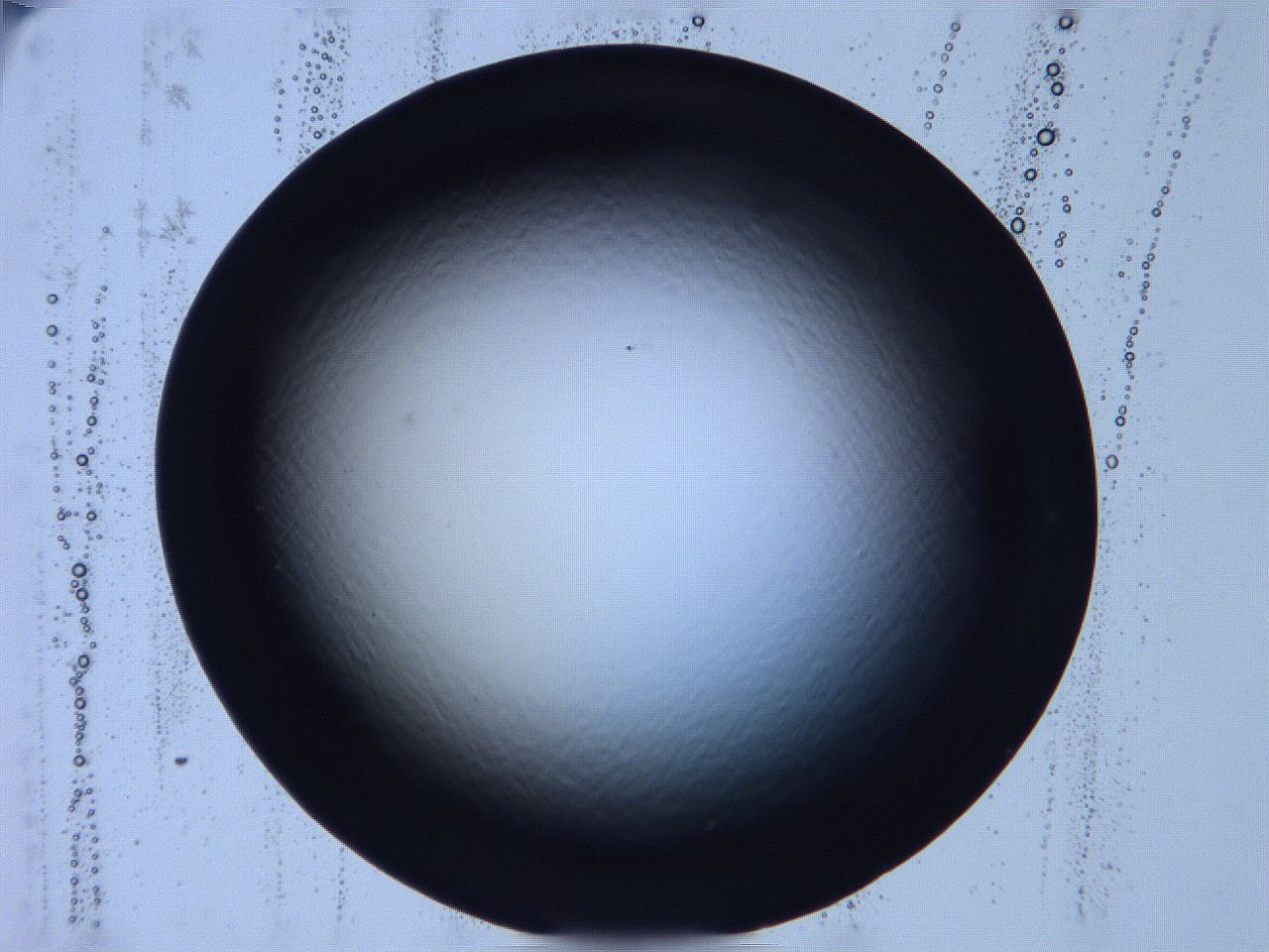 068v_B11_ImagerDefaults_0.jpg