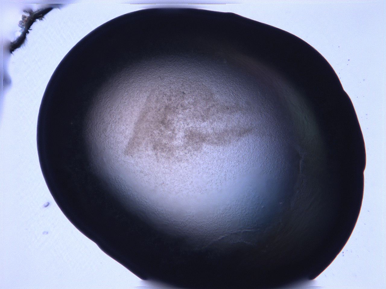 068v_B1_ImagerDefaults_3.jpg