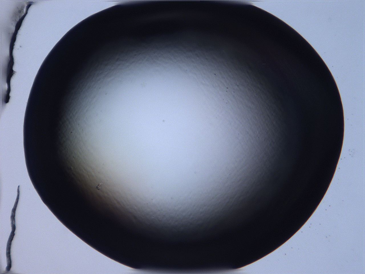 068v_F4_ImagerDefaults_0.jpg