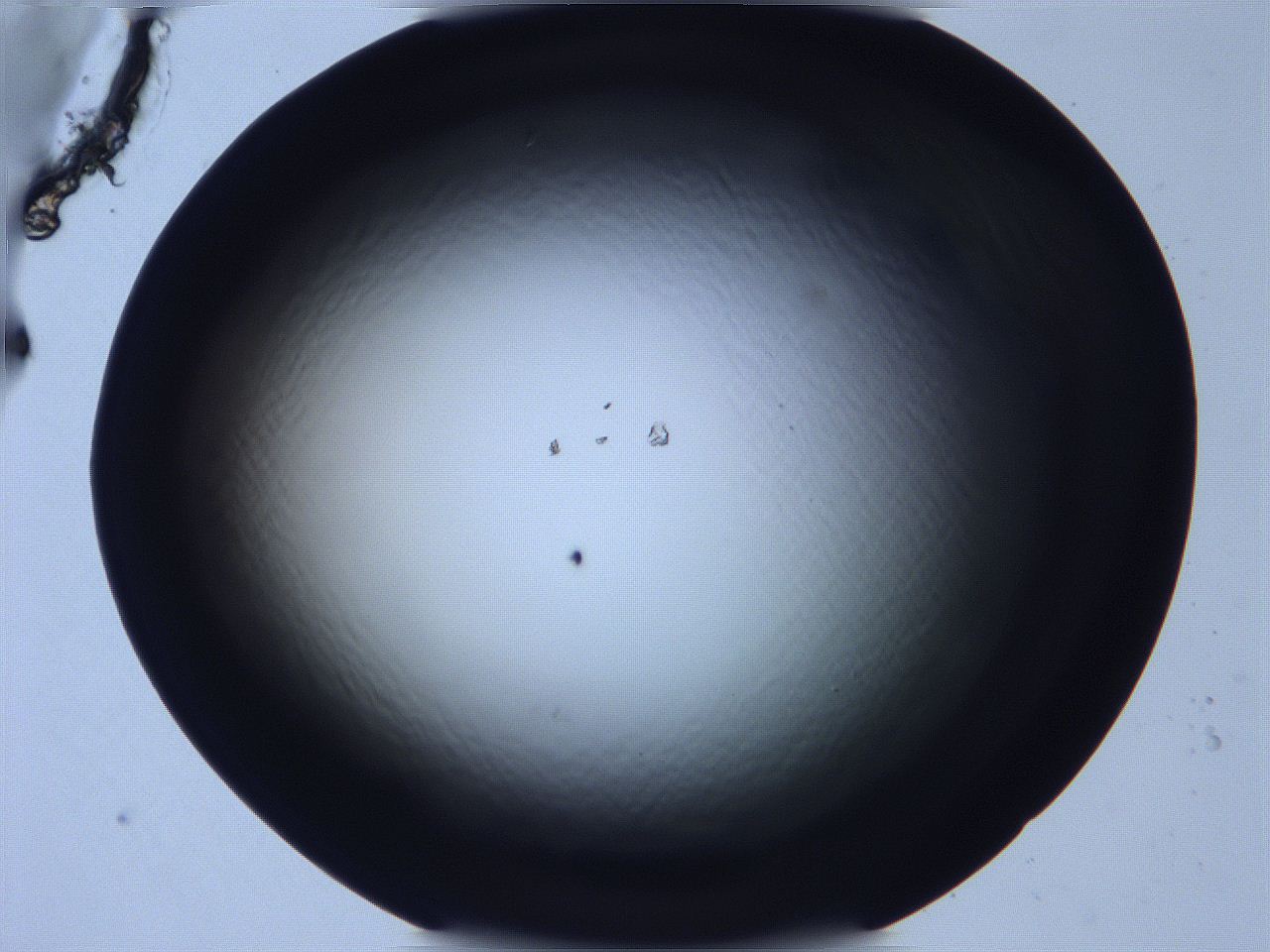 068v_F5_ImagerDefaults_0.jpg