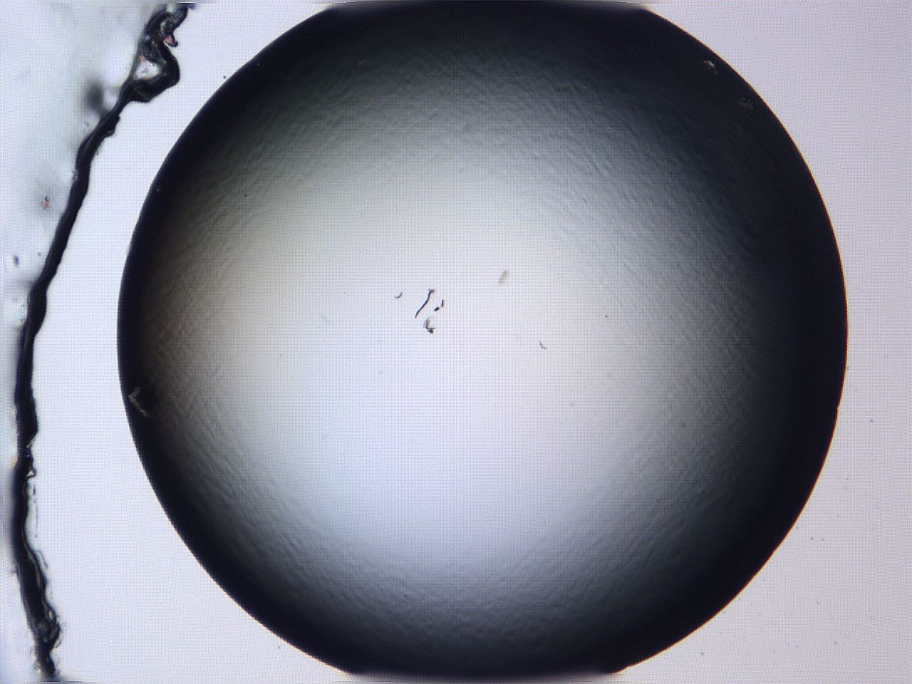 068v_G5_ImagerDefaults_0.jpg