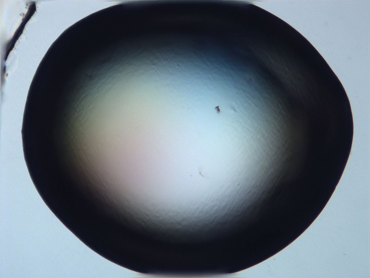 068v_G7_ImagerDefaults_0.jpg